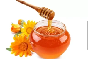 Screenshot_20230913-111043-3613499794