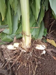 391653318_1036210314083661_8114423436387794534_n