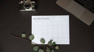 pexels-pnw-prod-8250989